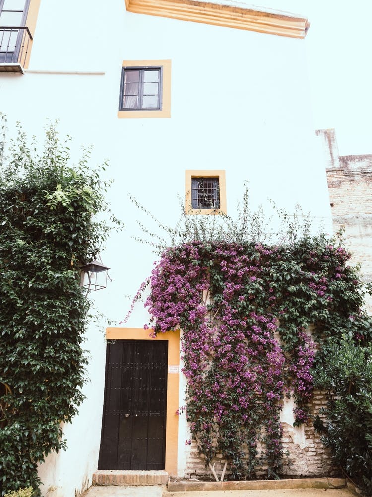 Seville Greenery