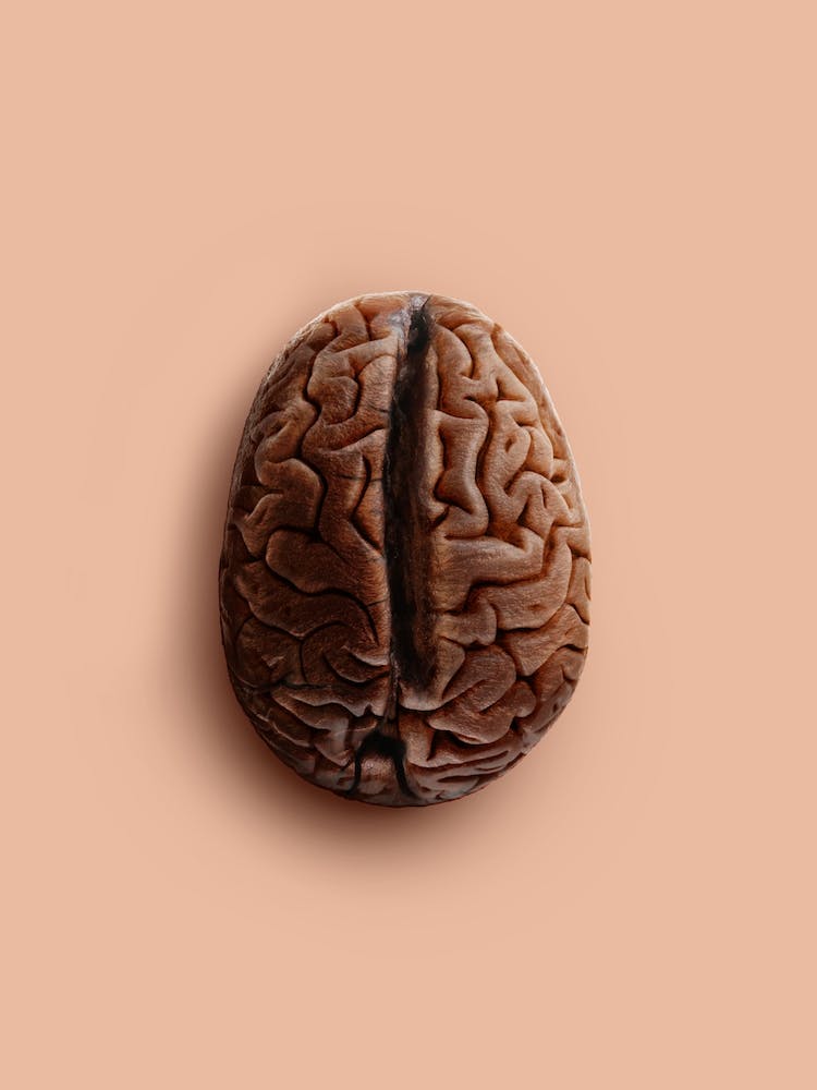 Brain Bean