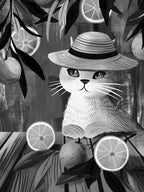 Cat In A Hat 10
