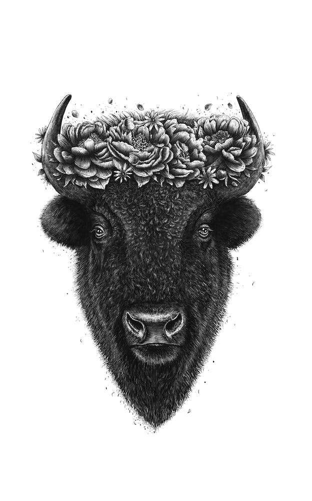 Bison With Flowers