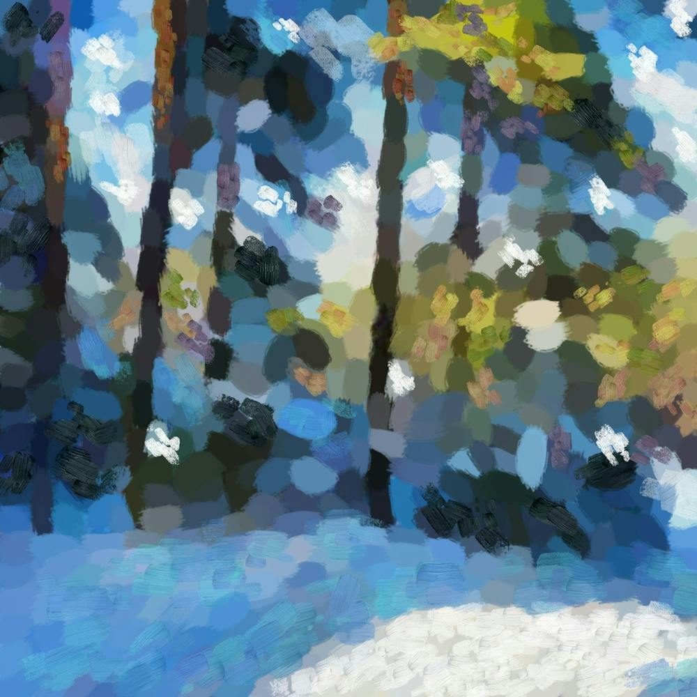 Snowy winter forest N4
