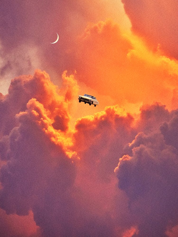Find Your Wings