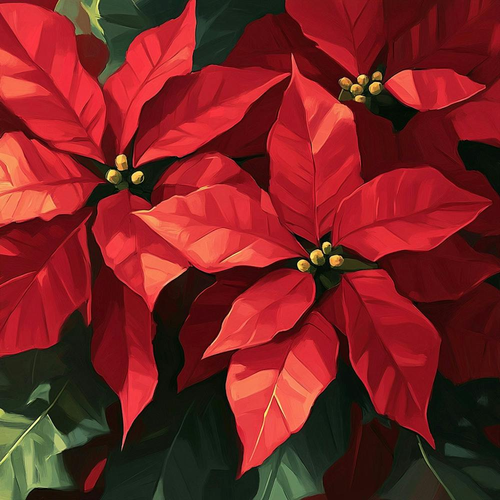 Dezember Geburtsblume Weihnachtsstern auf Creme Art Print by Angie Spurgeon  – Fy!