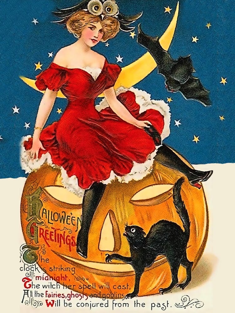 Halloween Greetings Young Witch Sitting On A Pumpkin Her Black Cat And A Flying Bat