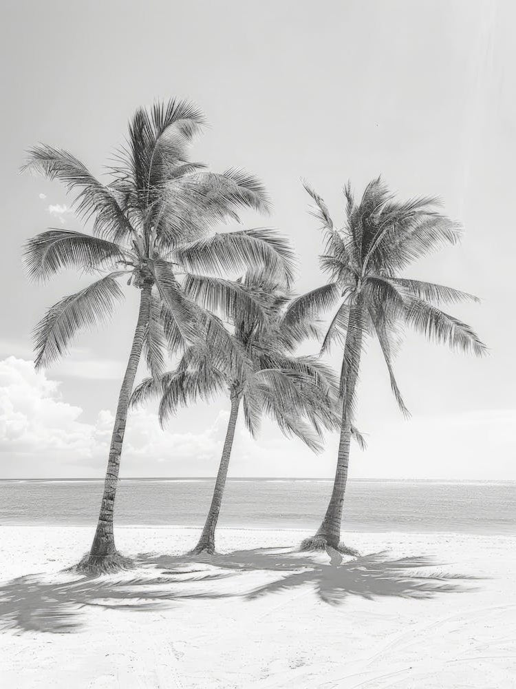Three Palm Trees On The Beach 6