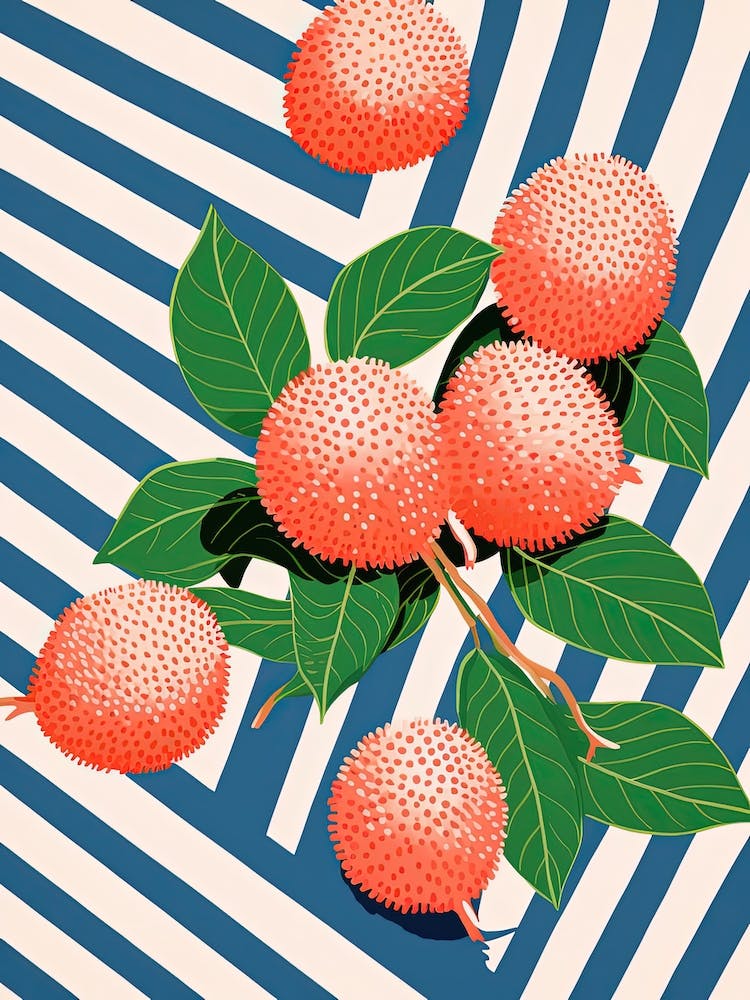 Lychee Fruit Summer Illustration 4