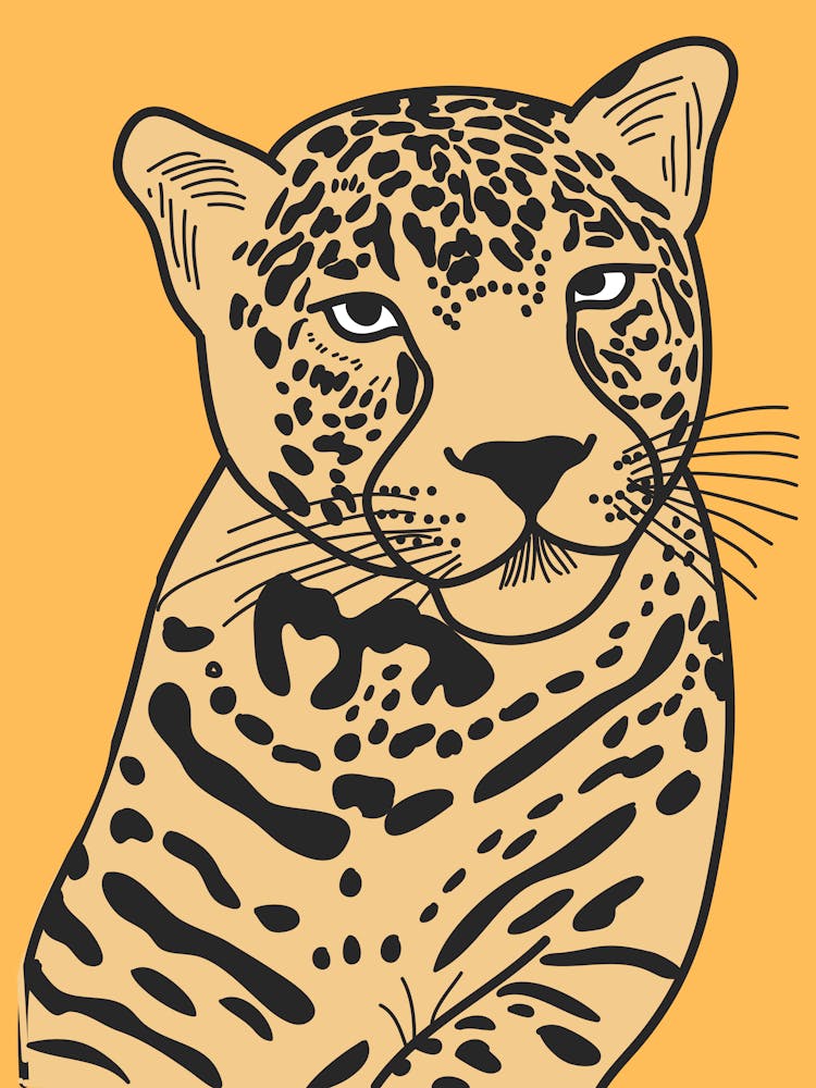 Leopard 9