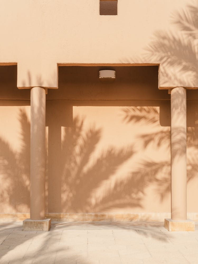 Shadow Of A Palm Tree