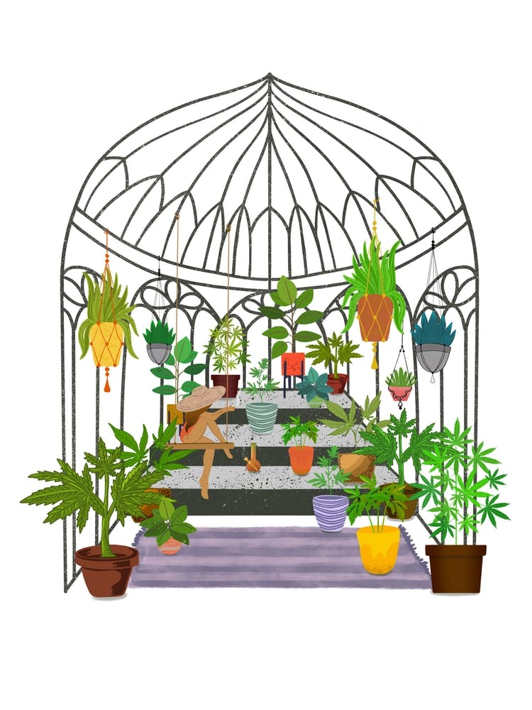 Mary Janes Garden