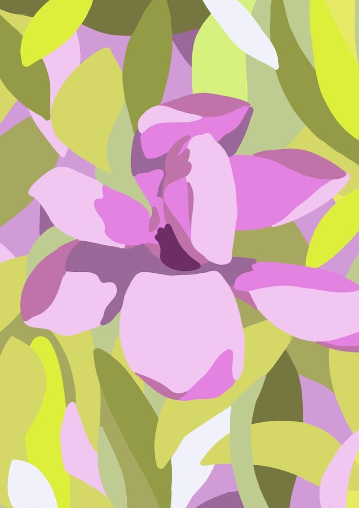 Magnolia