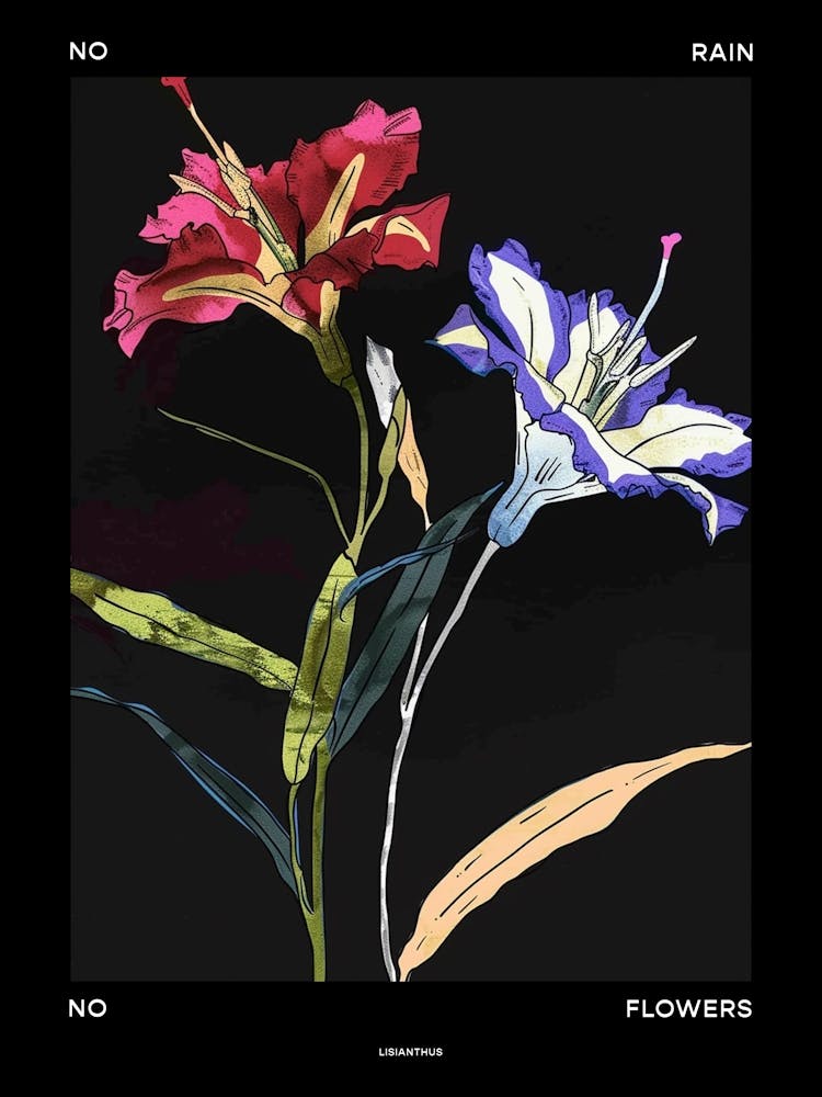 No Rain No Flowers Poster Lisianthus 1