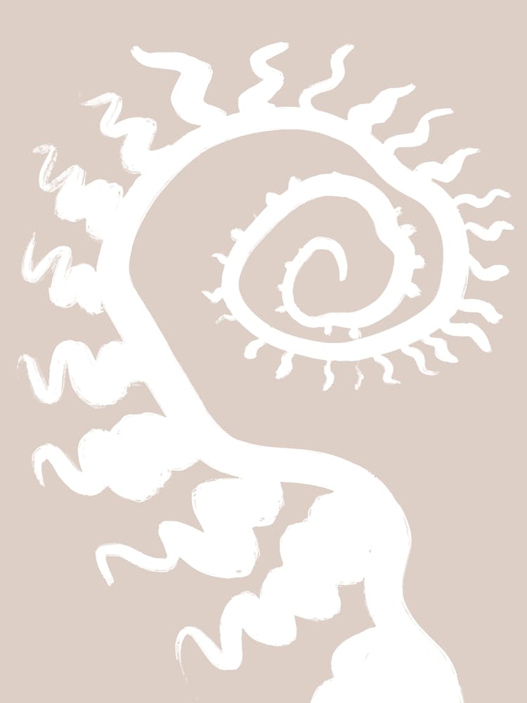 Spiral Shell Scandinavian Abstract
