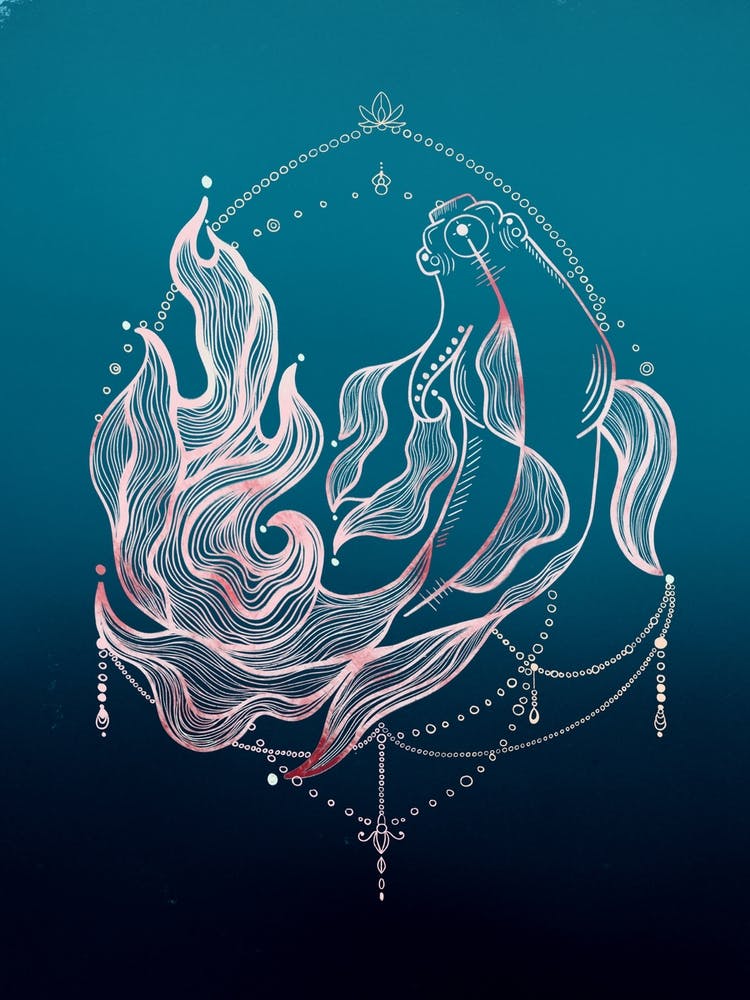 Koi
