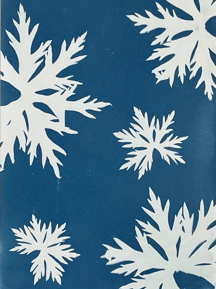 Snowflakes On Blue cyanotype