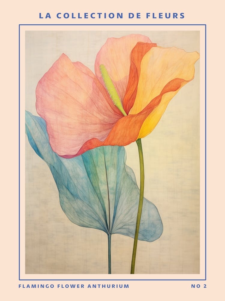 Flamingo Flower Anthurium 2 French Flower Botanical Poster