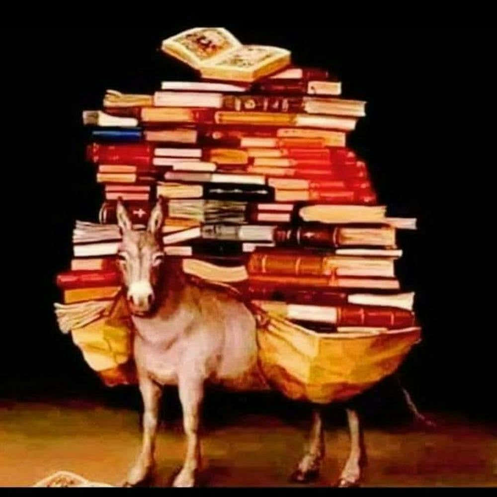 Donkey With Books