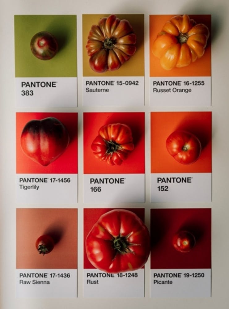 Palette de Couleurs Pantone