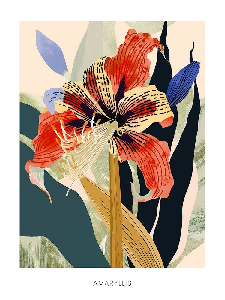 Colourful Flower Illustration Poster Amaryllis 2