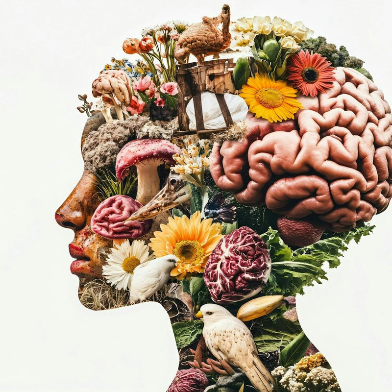 Portrait D'une Femme Avec Un Cerveau