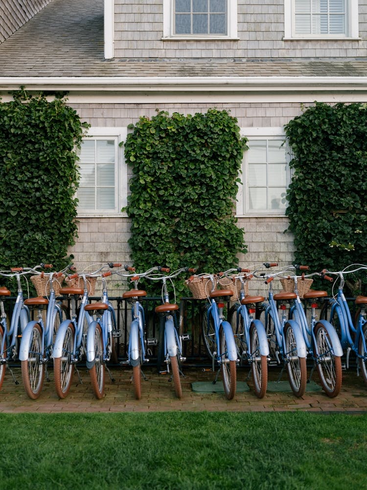 Les Bicyclettes à Malibu