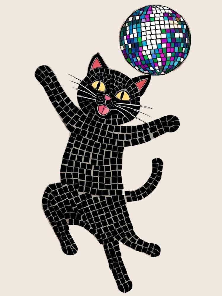 Disco Cat 11
