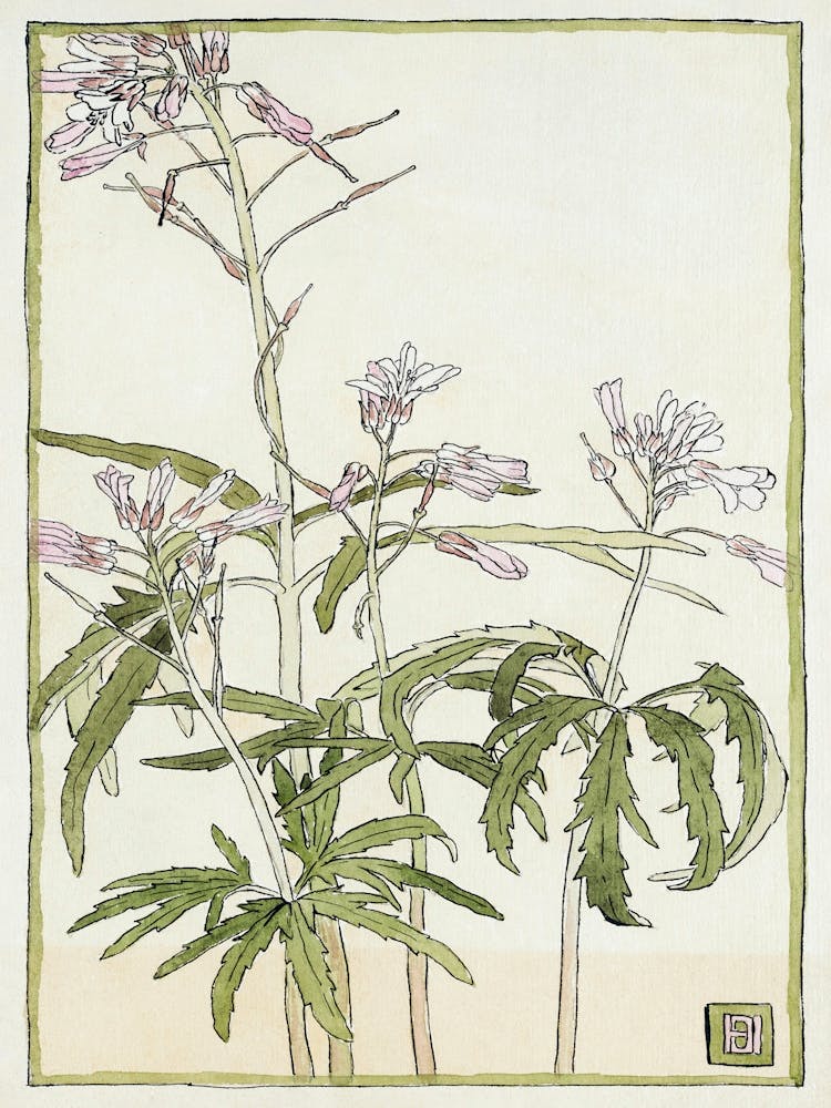 Pink Flowers With Spiky Green Leaves (1915), Hannah Borger Overbeck