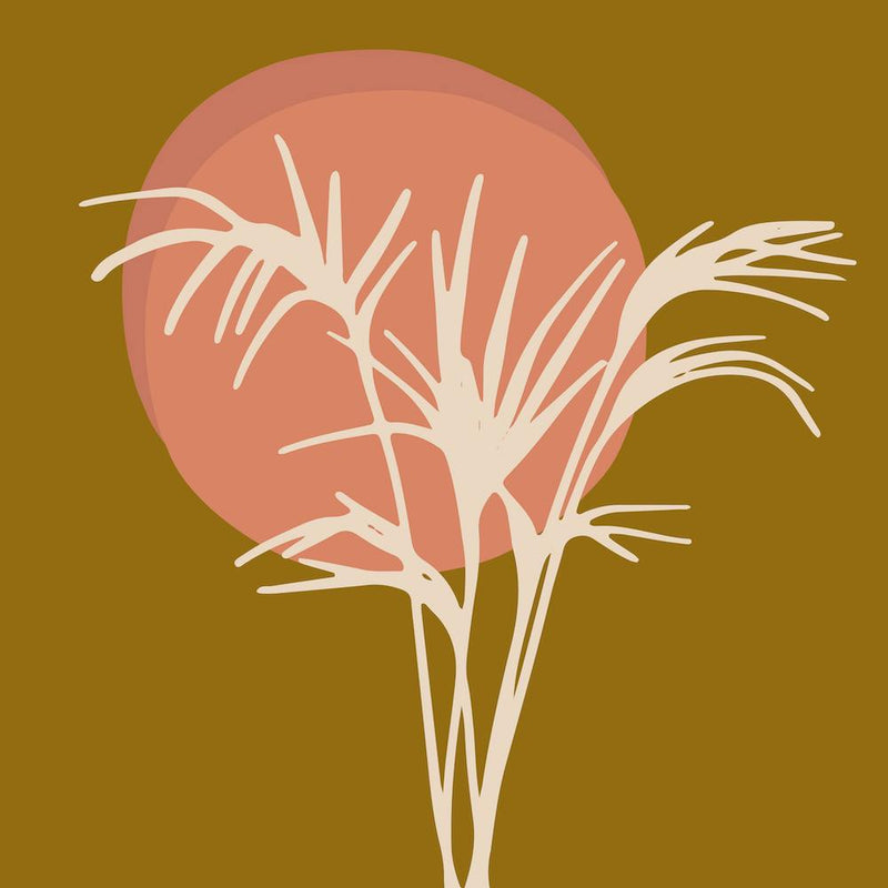 Sunset Grasses
