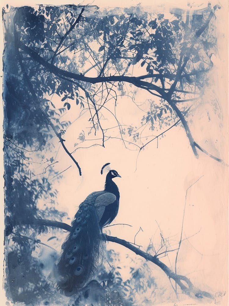 Cyanotype Inspired Peacock In The Tree 3