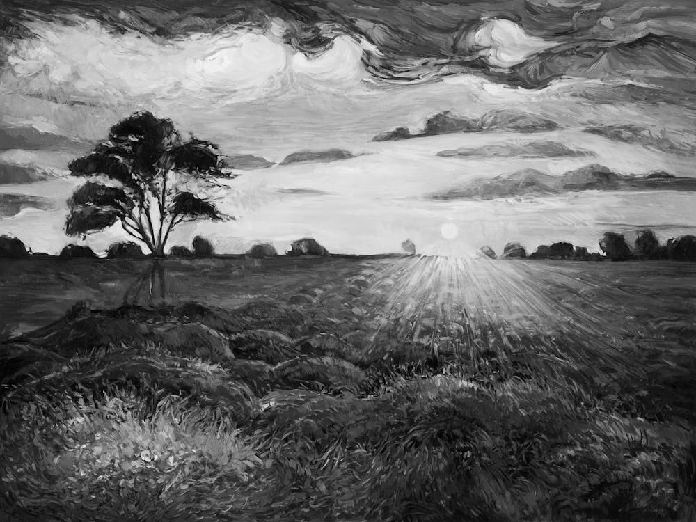 Sunset In The Field