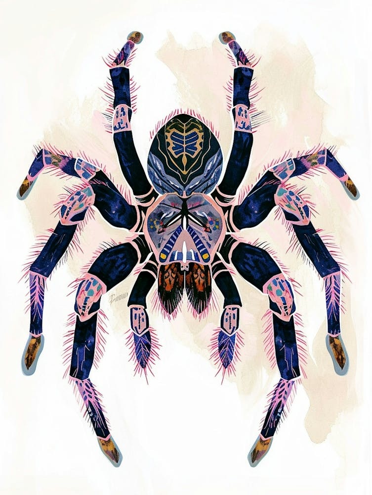 Colourful Insect Illustration Tarantula 1