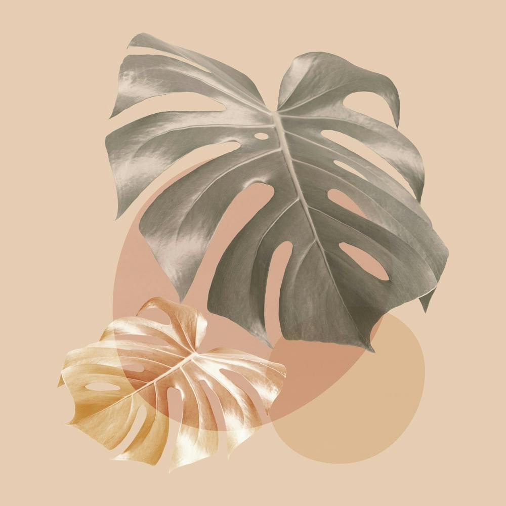 Harmonious floral composition 11