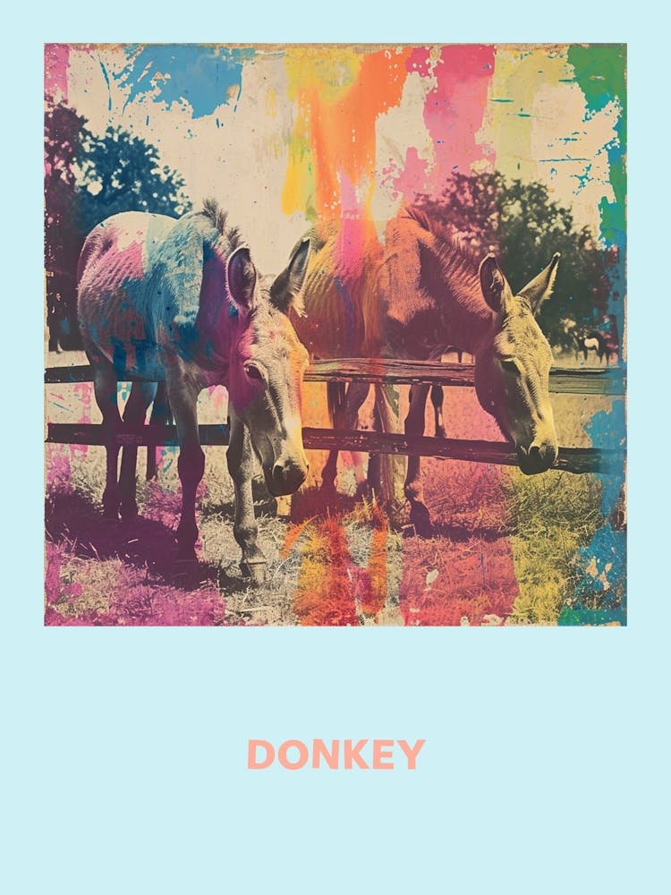 Donkey Rainbow Retro Poster 1
