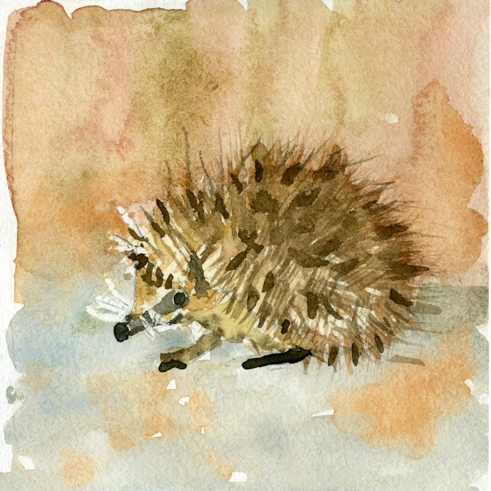 Hedgehog Watercolor Painting