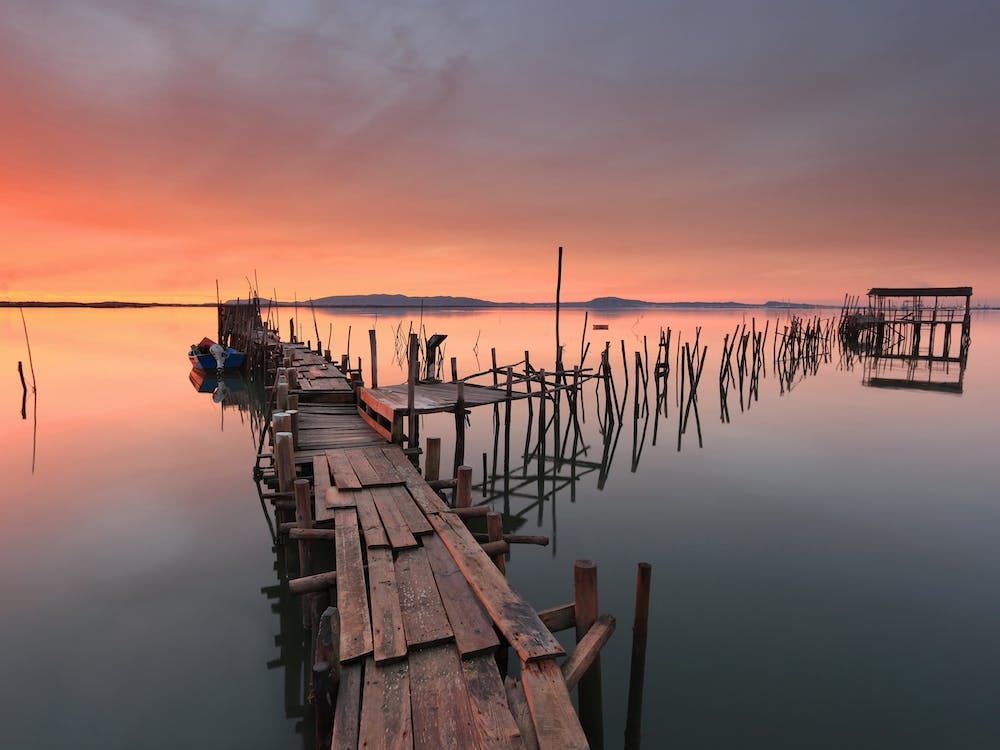 The Last Light