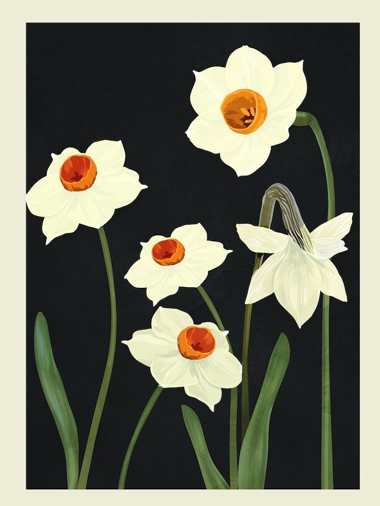 Beautiful Summer Flowers II