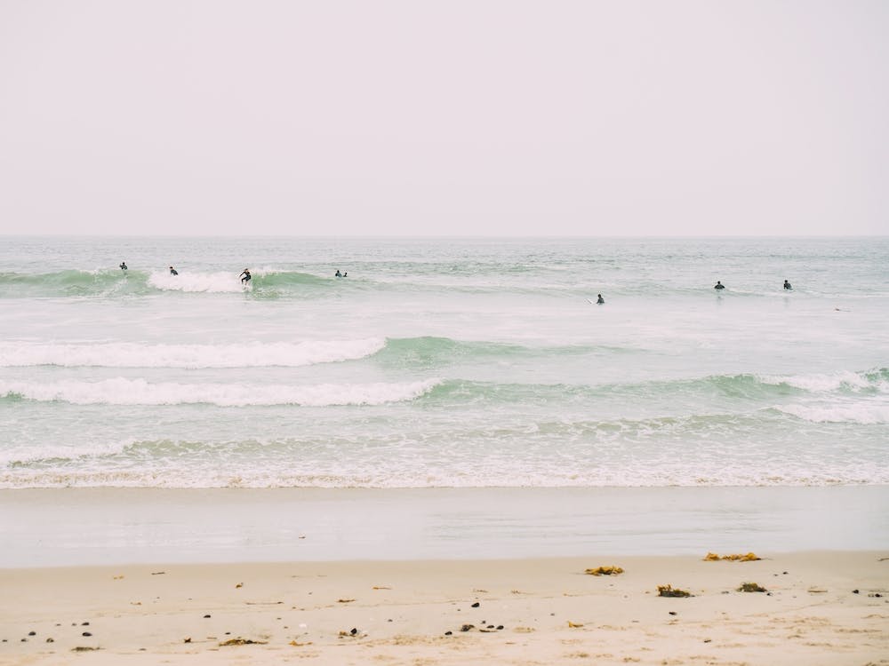 Los Angeles Surfing