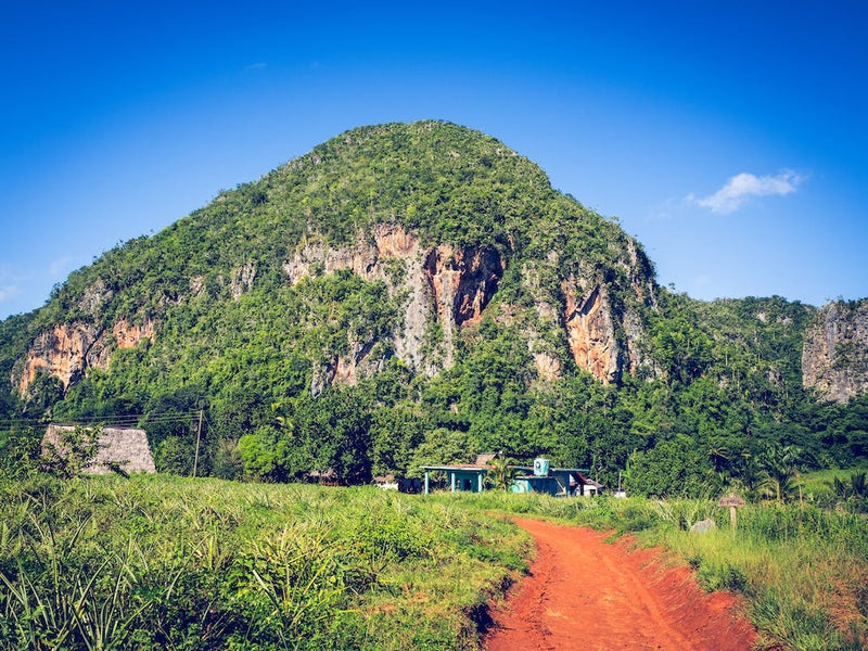Hof am Hang Vinales Cuba