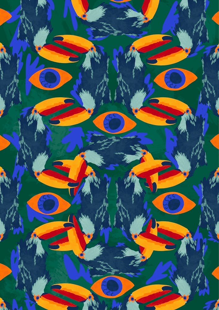 Eyes Of The Toucan