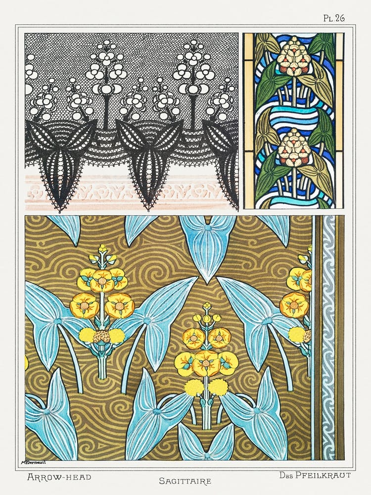 Sagittarius From The Plant And Its Ornamental Applications (1896), Maurice Pillard Verneuil 1