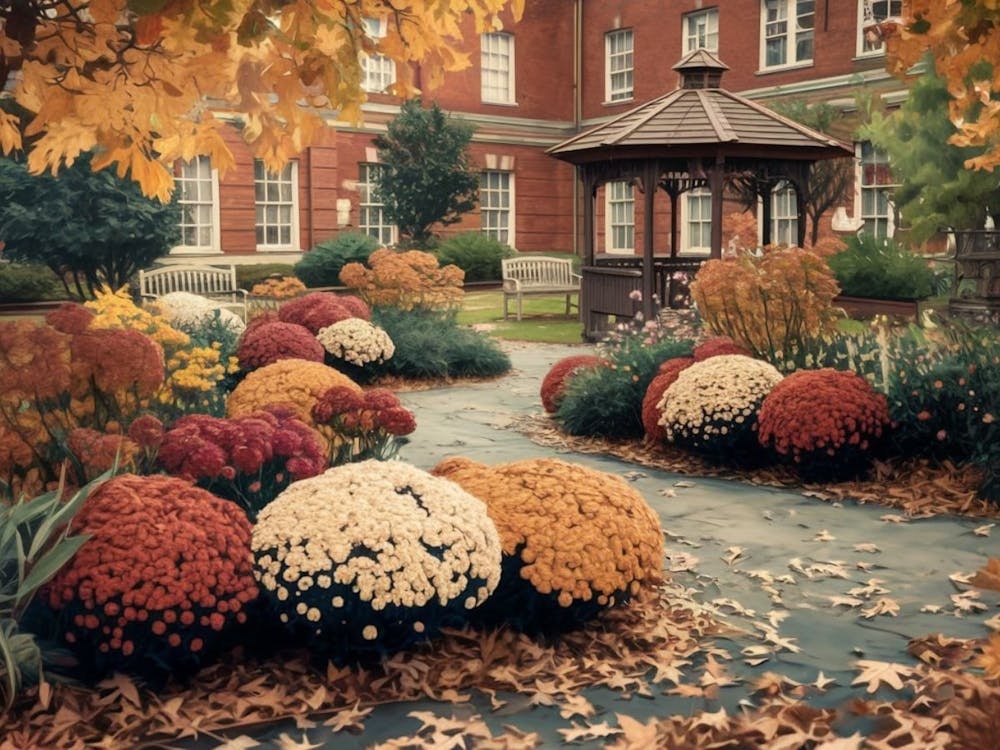 Autumn Campus Charm - Fall Garden with Chrysanthemums