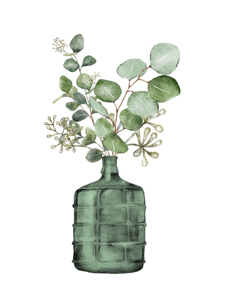 Eucalyptus Leaves In Vase Watercolour Art