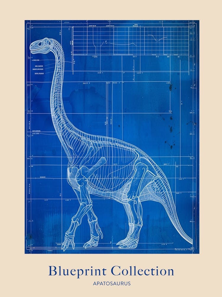 Apatosaurus Dinosaur Blue Print Sketch 5 Poster