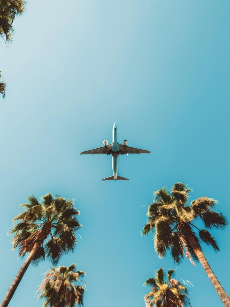 Airplane Flying Over Palm Trees 3