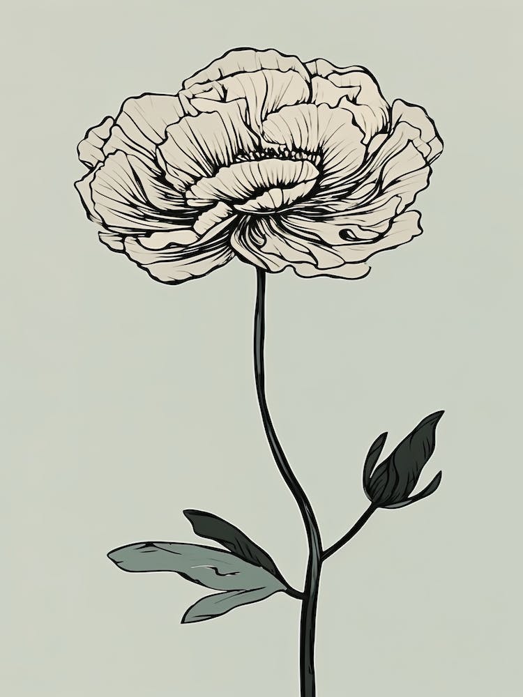 Line Art Marigold Flowers Illustration Neutral 4