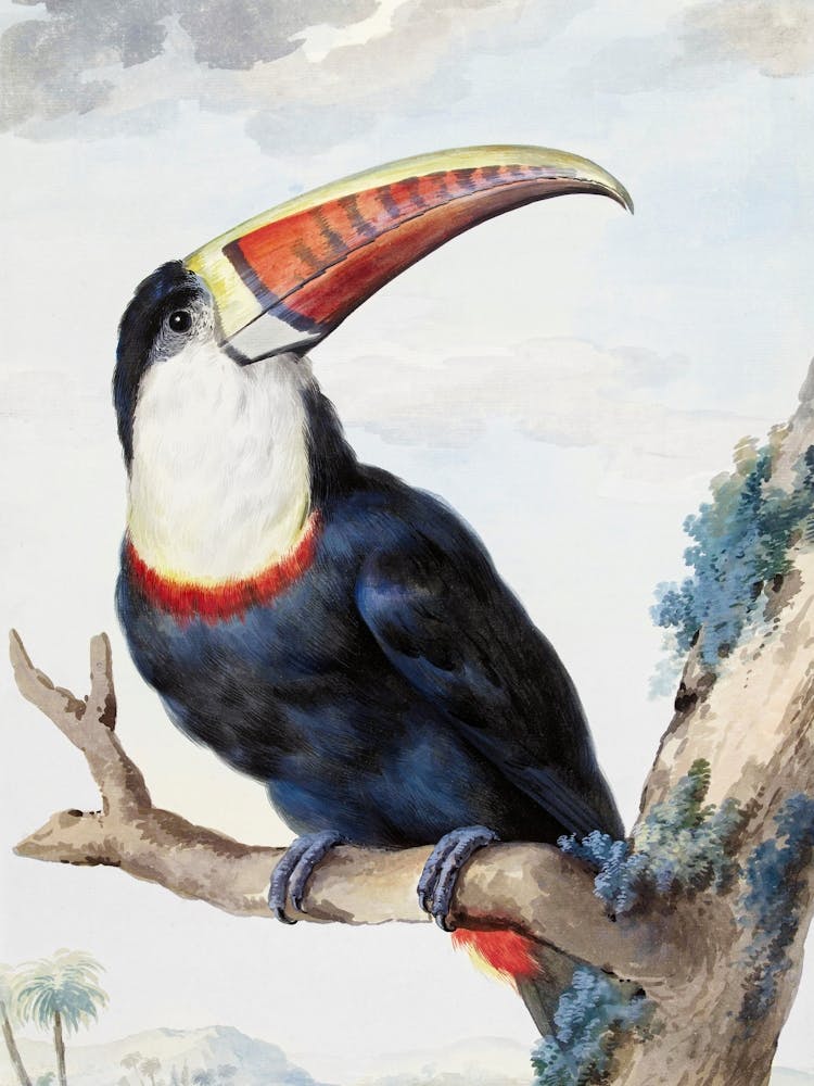 Illustrated Vintage Bird_2835697