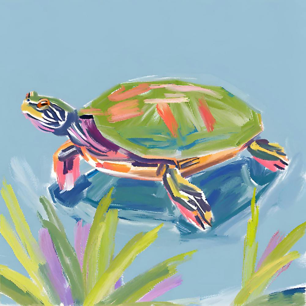 Painted Turtle 05