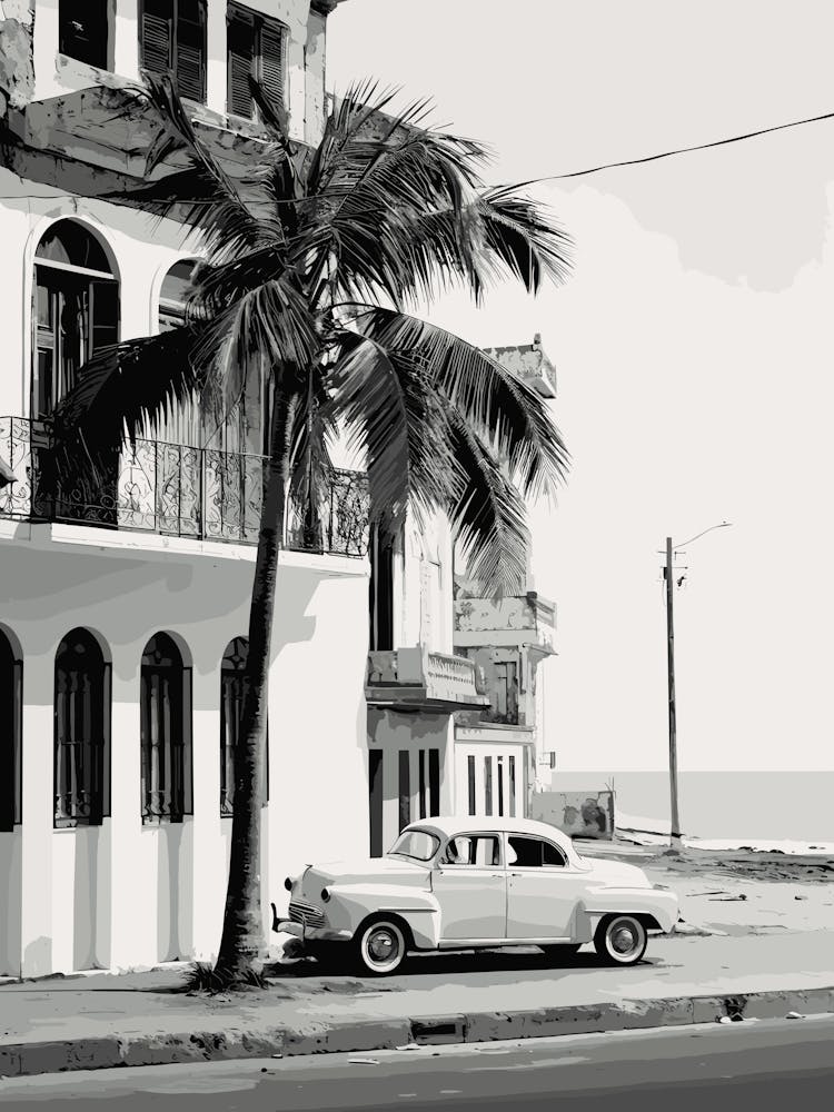 Puerto Rico, Black And White Analogue Photograph 1