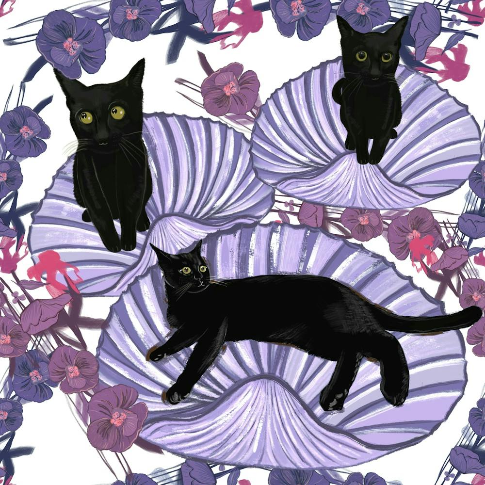 Black Cat With Sea Shells And Flowers