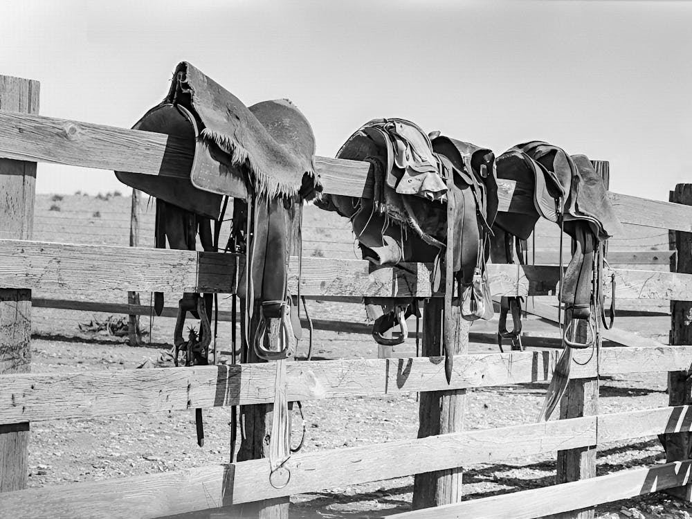 Sättel auf Zaun, Western-Ästhetik, Vintage Schwarz-Weiß Altes Foto 1