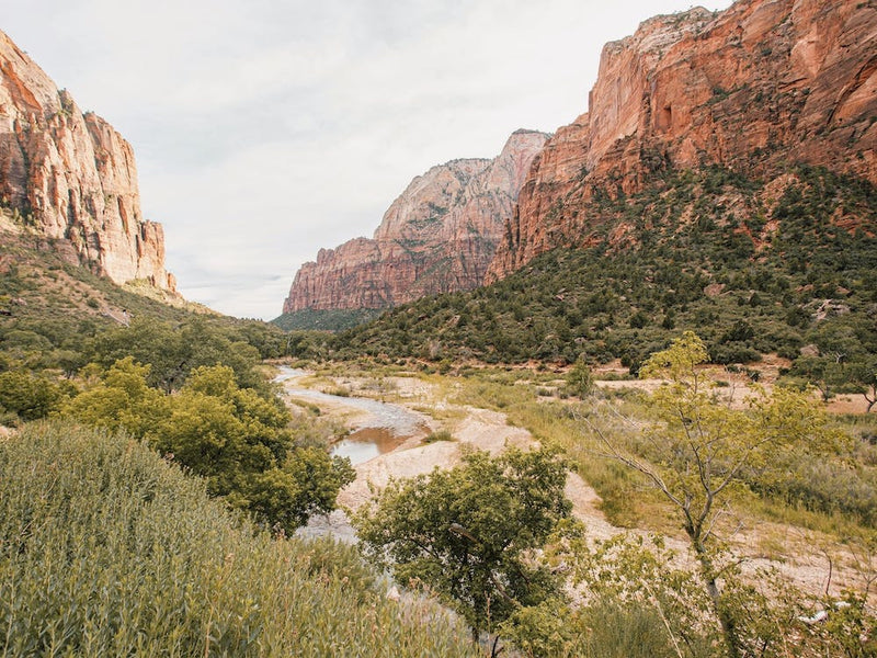 Desert River Scenery